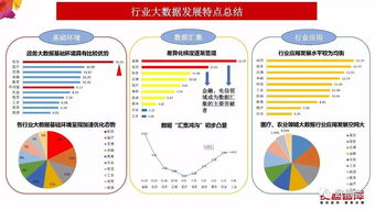 中國大數(shù)據(jù)產業(yè)發(fā)展評估報告 2017年 發(fā)布 完整版ppt
